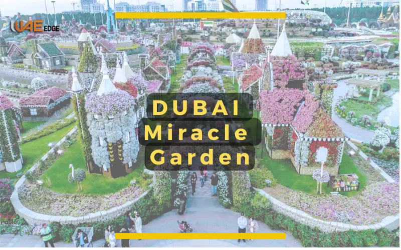 Miracle Garden Dubai