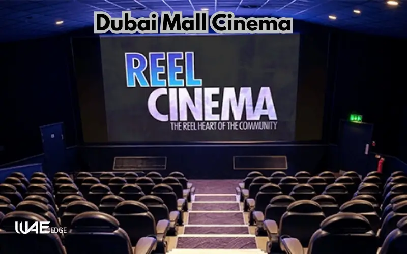 Reel Cinema