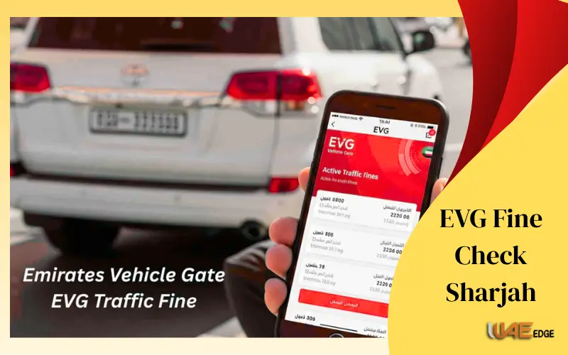 EVG Fine Check Sharjah Complete Guide for Drivers 2025