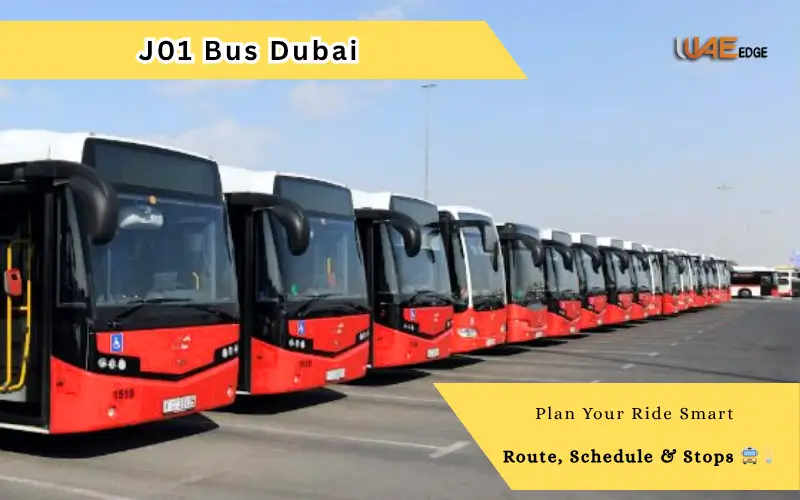 j01 bus