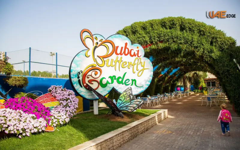 Dubai Butterfly Garden