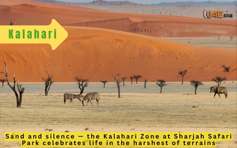 Kalahari