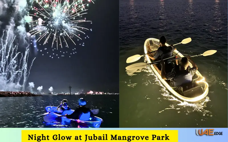 Night Glow at Jubail Mangrove Park