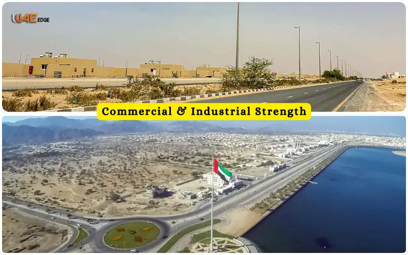 Commercial & Industrial Strength