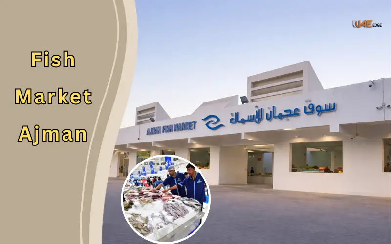 Fish Market Ajman: Fresh Seafood Markets