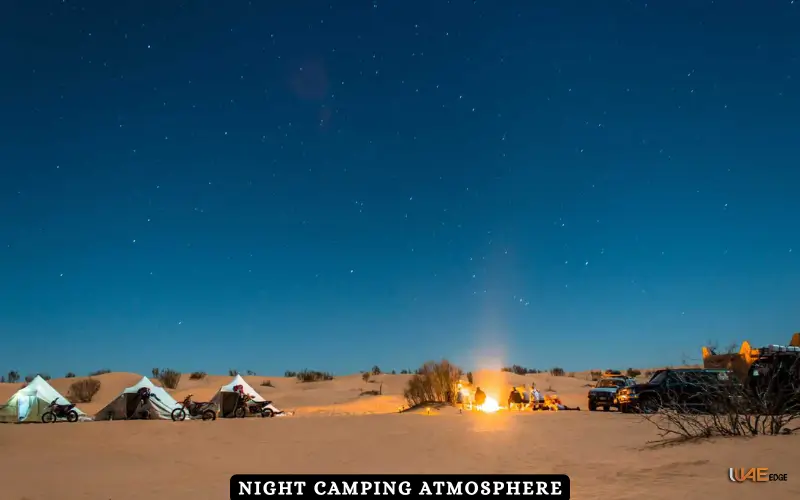 Night Camping Atmosphere