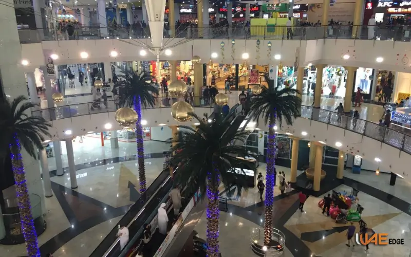 Best Brands and Stores