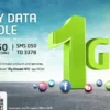 Etisalat Daily Data Pack