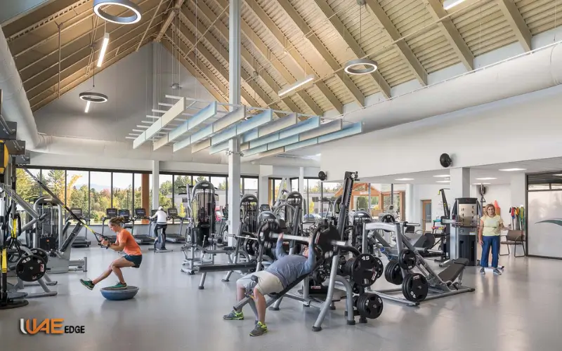 Gym and Fitness Programs