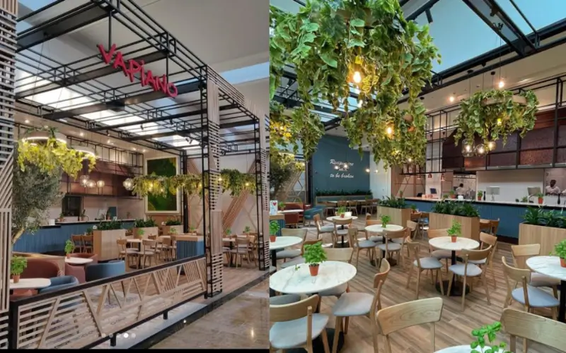 Dining Options and Food Experience