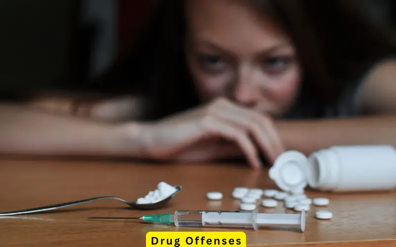 Drug Offenses