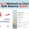 Salik balance check