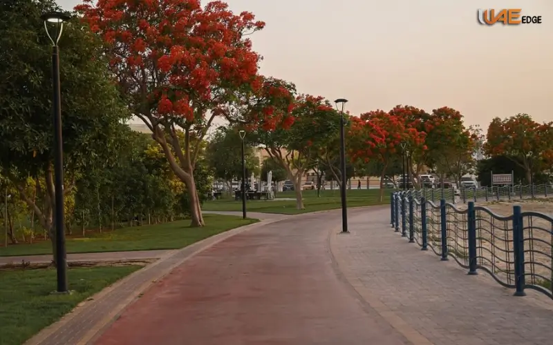 Walking and Jogging Tracks