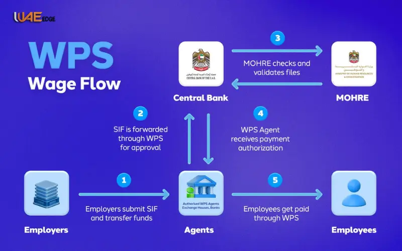salary card payment process WPS UAE