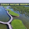 Al Zorah Nature Reserve
