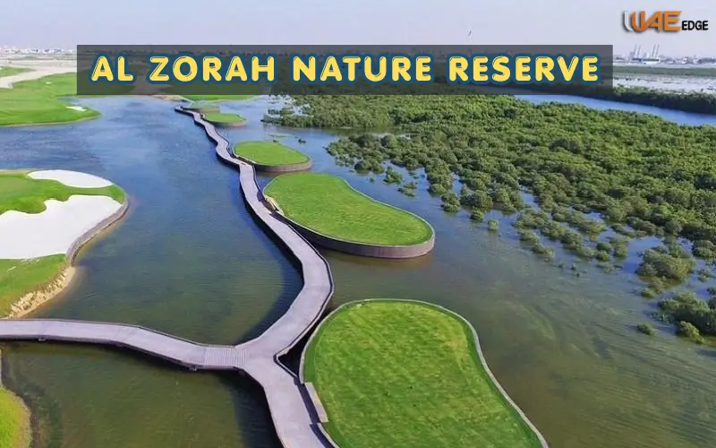 Al Zorah Nature Reserve