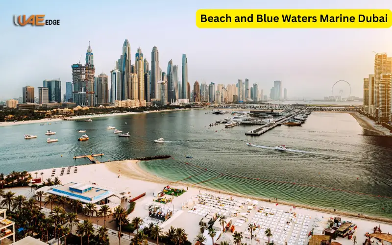 Beach and Blue Waters Marine Dubai