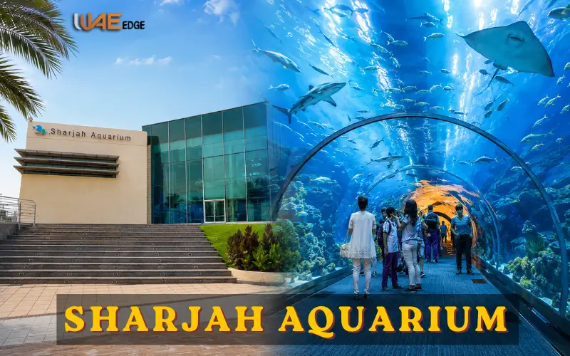 Sharjah Aquarium