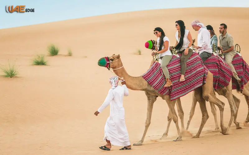 Umm Al Quwain Zoo Camel and Horse Riding