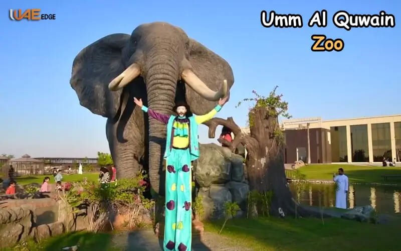 Umm Al Quwain Zoo