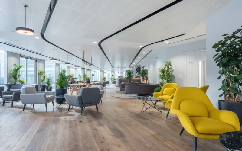 Commercial Fit Out Dubai