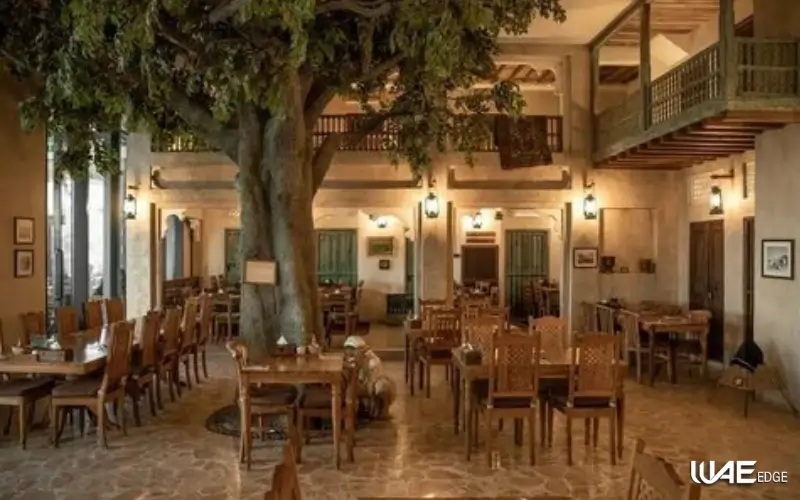 Restaurants and Cafes