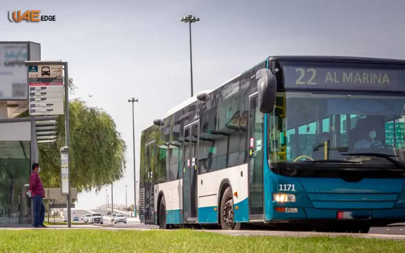 Transportation and Public Transport