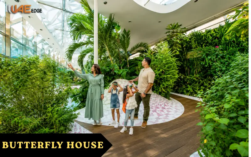 butterfly house