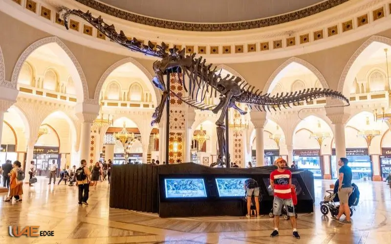 dubai mall attraction