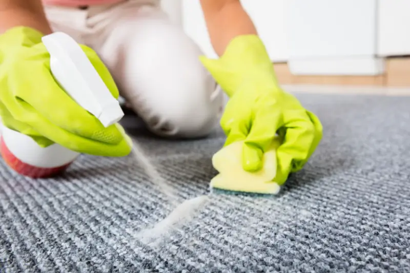 Carpet Stain Removal