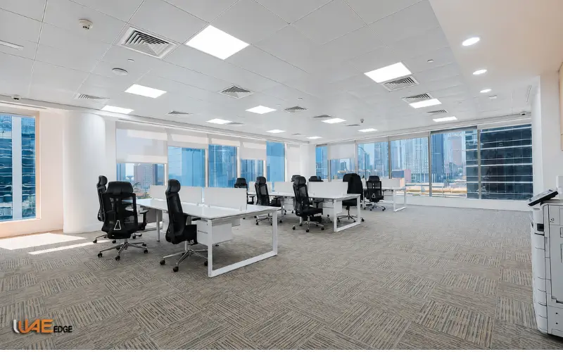 Business Environment and Corporate Presence
