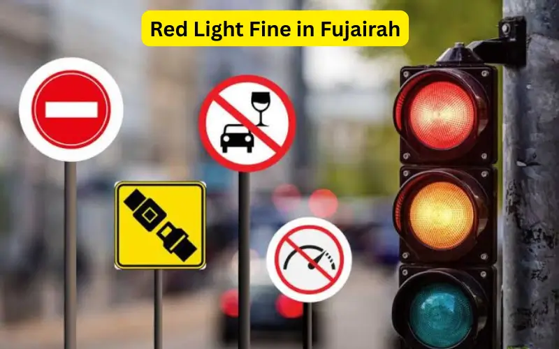 Red Light Fine